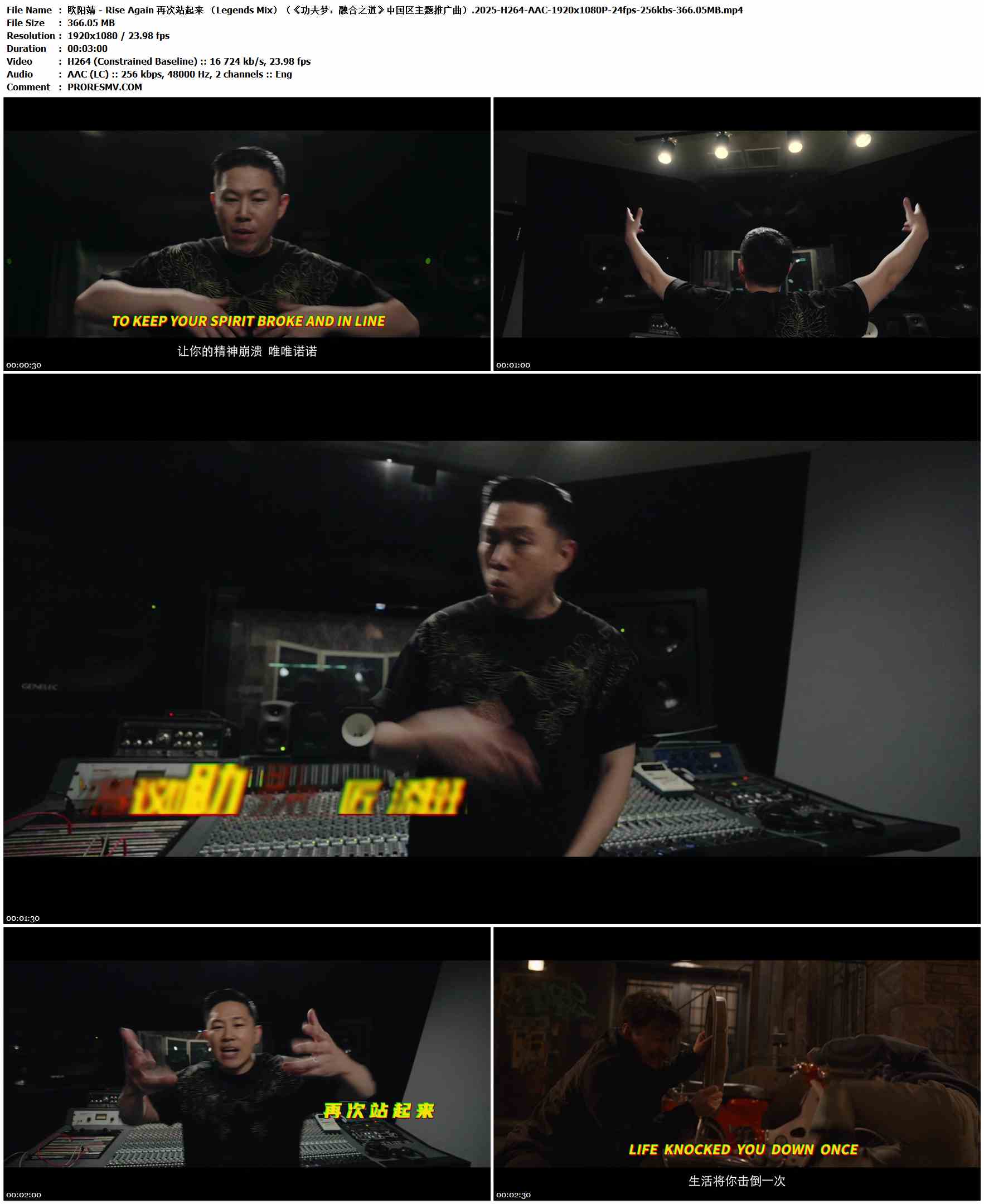欧阳靖 - Rise Again 再次站起来 （Legends Mix）（《功夫梦：融合之道》中国区主题推广曲）.2025-H264-AAC-1920x1080P-24fps-256kbs-366.05MB官方MV_高清MV